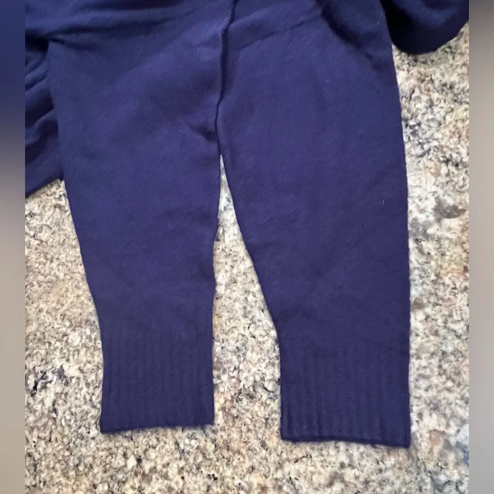 NWT Revolve Central Park West Chelsea Oversized Hoodie - Picture 11 of 13